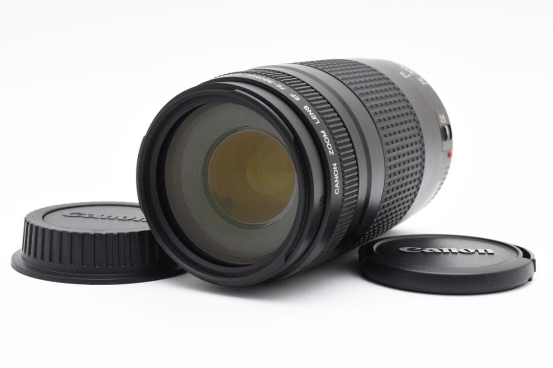【美品】キャノン Canon EF 75-300mm F4-5.6 II USM