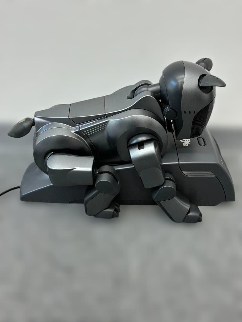 【レア】SONY AIBO ERA-210P1 ジャンク アイボ 通電確認済み