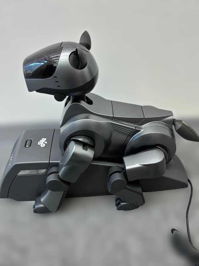【レア】SONY AIBO ERA-210P1 ジャンク アイボ 通電確認済み