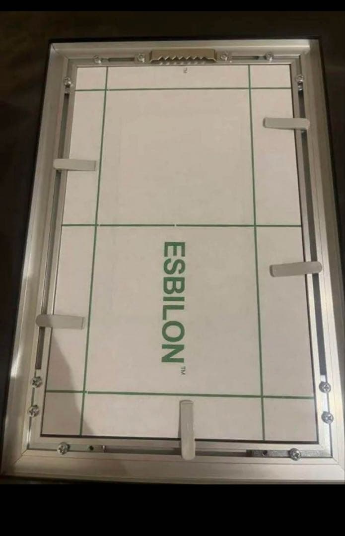 最終値下 PSA 10　マスカレーナ　20th 　専用フレームセット済み