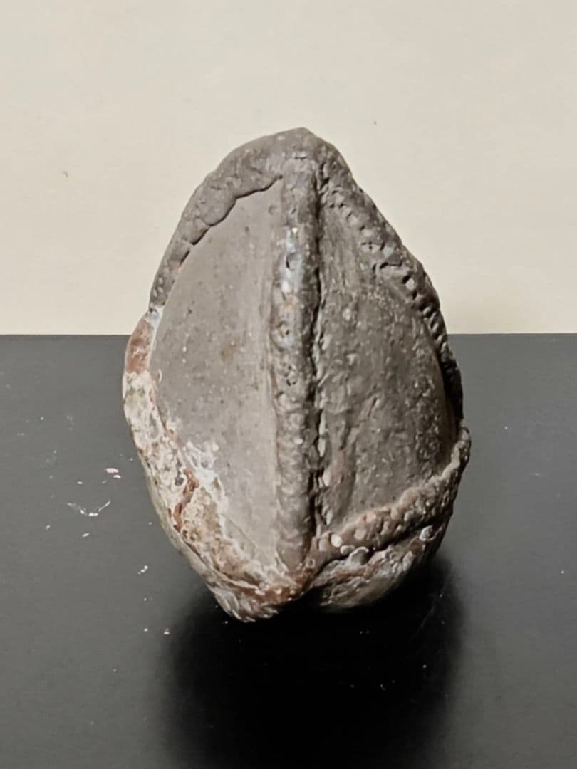 革袋型須恵器残欠　考古発掘品　稀少　古美術　花呼ぶ器