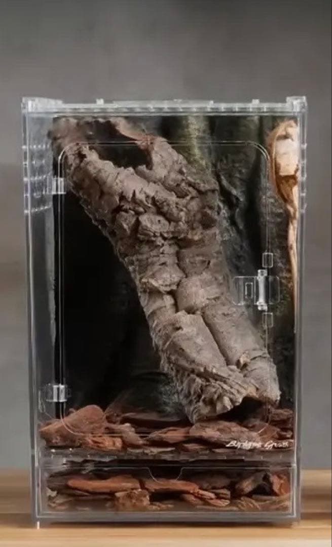 【新品未使用】レプタイルボックス×3 ナノ　スライド式　フロントドア　アクリル