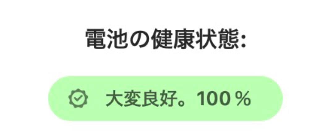 iPad mini 第6世代 256GB スペースグレイ 8.3インチ