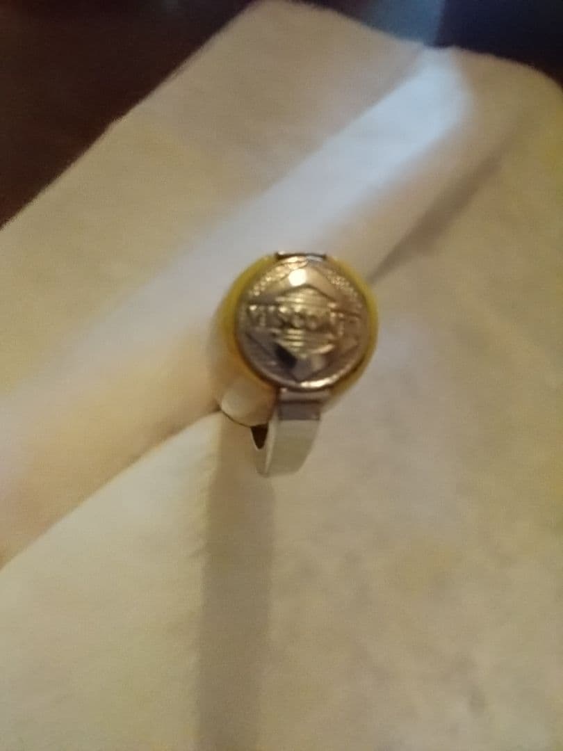 VISCONTI　ヴァンゴッホ　ひまわり　万年筆