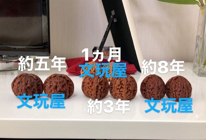 遊び胡桃 大玉 官帽No.80 くるみ 趣味 健康グッズ コレクション