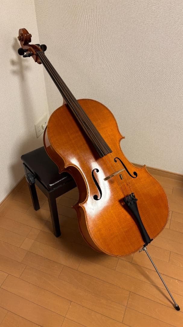 【専用】Pygmalius(ピグマリウス) チェロ ST302
