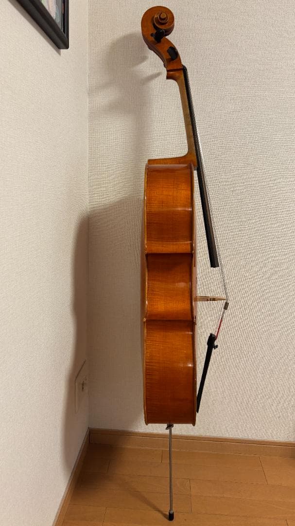 【専用】Pygmalius(ピグマリウス) チェロ ST302