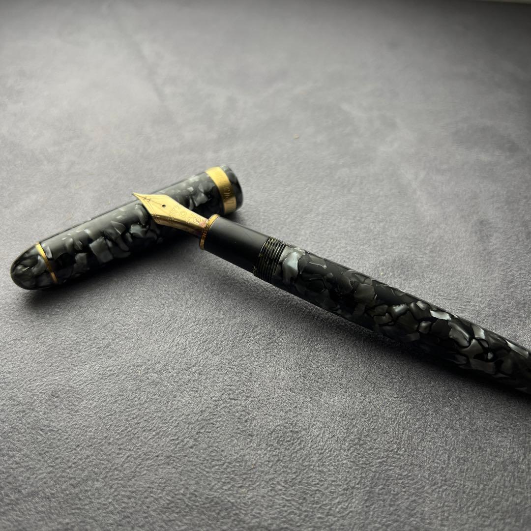 プラチナム センチュリー 万年筆 3776 希少デザイン Platinium