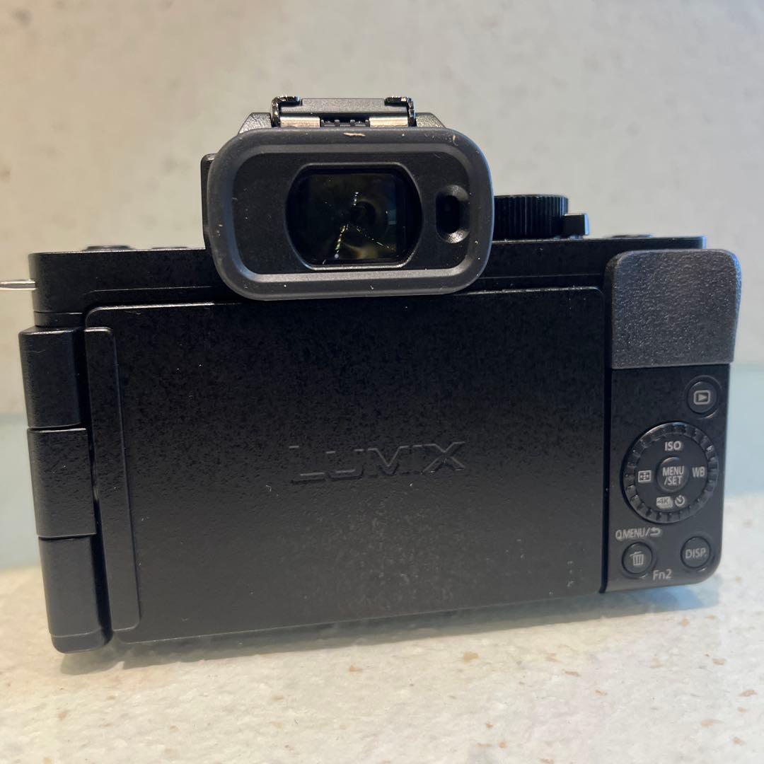 Panasonic LUMIX DC-G100V ミラーレスカメラ