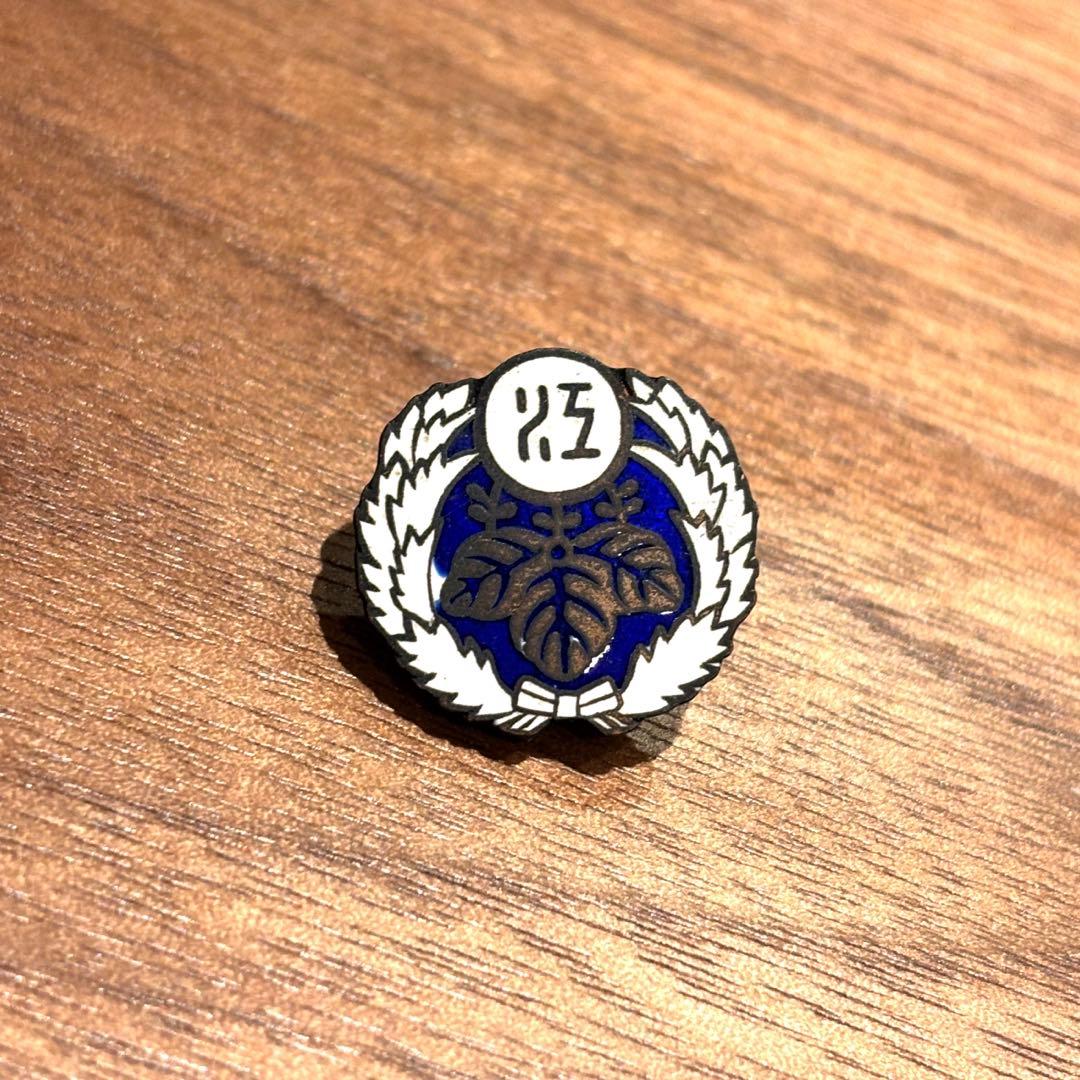 江ノ電 襟章 ピンバッジ 鉄道