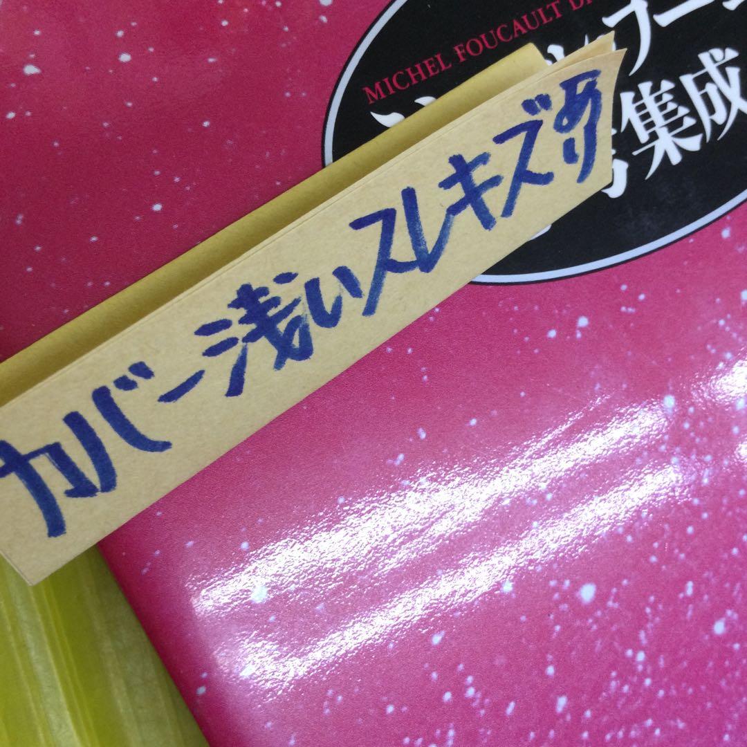 ミシェル・フーコー思考集成 8