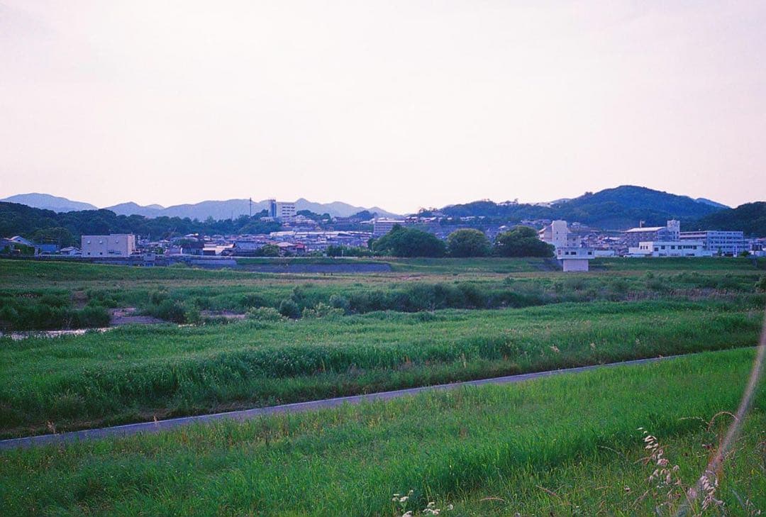 【完動品/試写有り】CONTAX T2 シルバー データバック