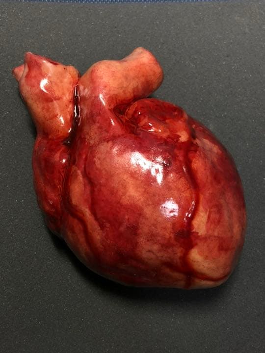 リアル　心臓