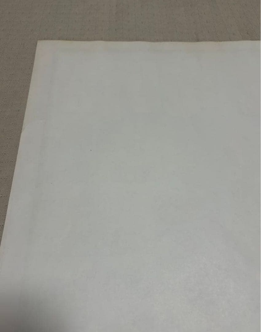 FRANK KOZIK フランク コジック　SONIC YOUTH