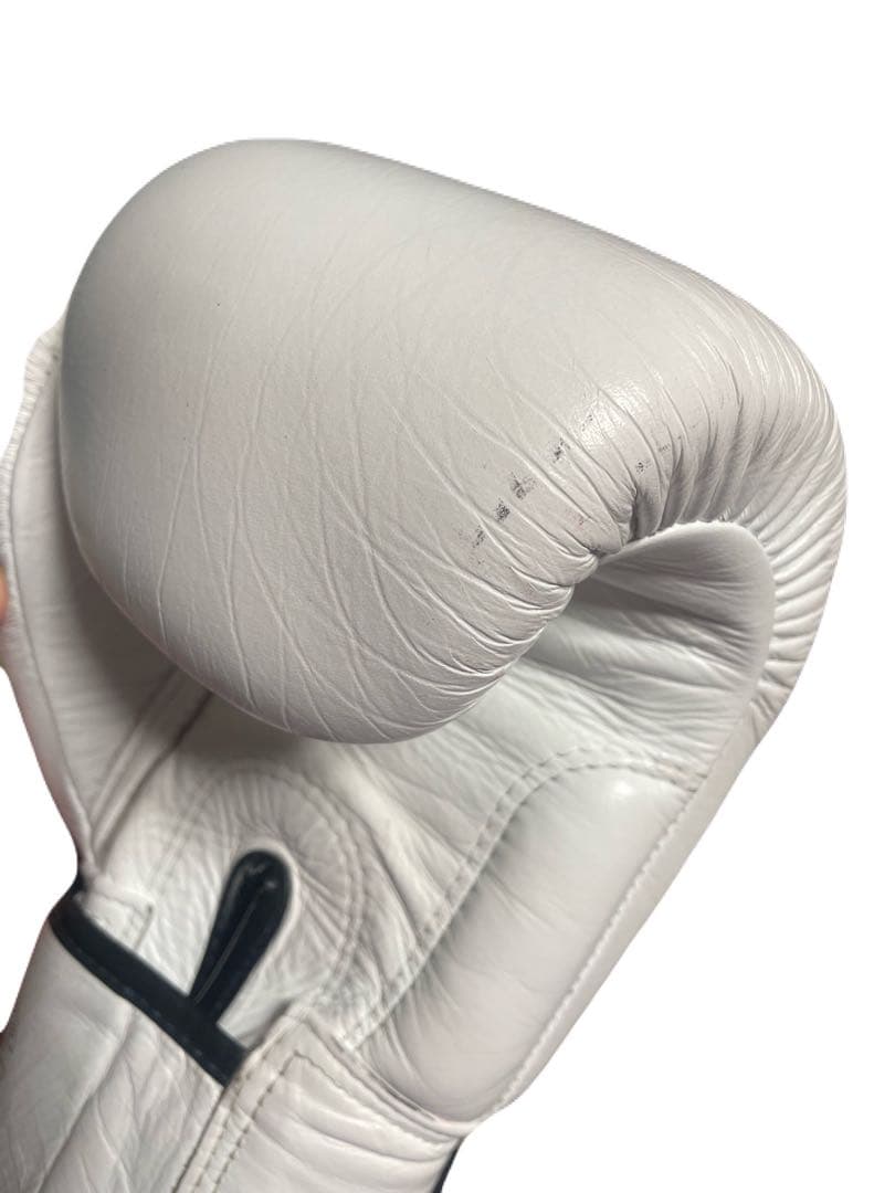 Fairtex ボクシンググローブ・ONE 14オンス