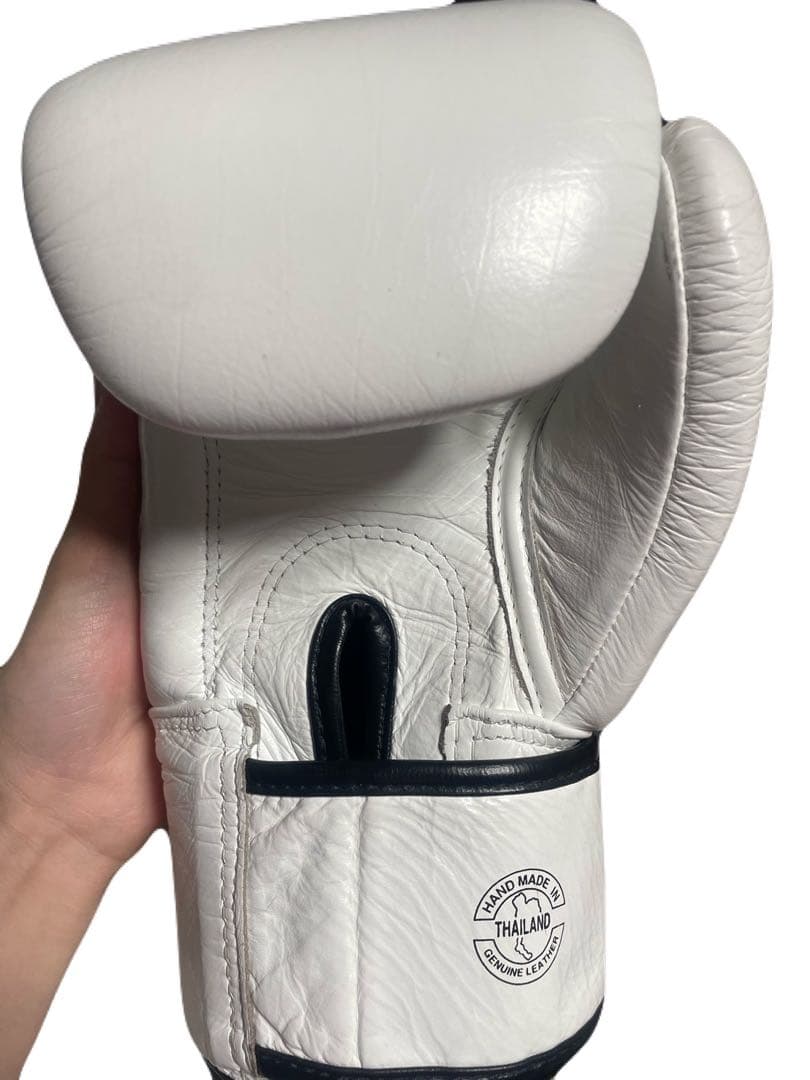 Fairtex ボクシンググローブ・ONE 14オンス