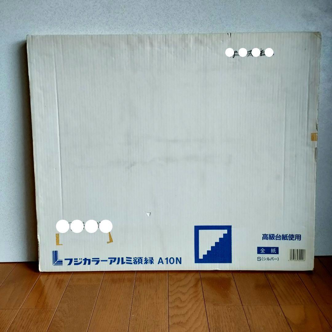 フジカラー アルミ額縁 フォトフレーム A10N 全紙 高級台紙使用 シルバー