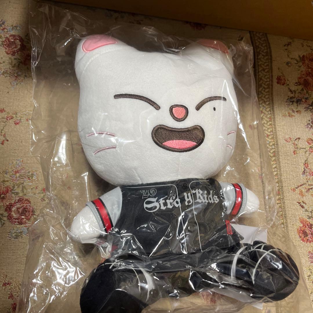 StrayKids スキズ dominATE ジニレット エコパ