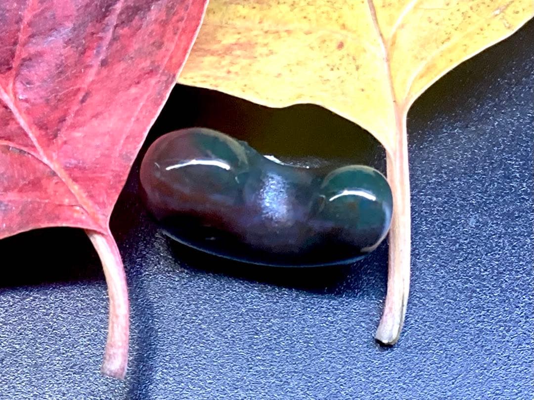 50年前の伊勢青石 コレクション　赤茶【ヘマタイト】　レア勾玉鑑別書無しの安価‼️