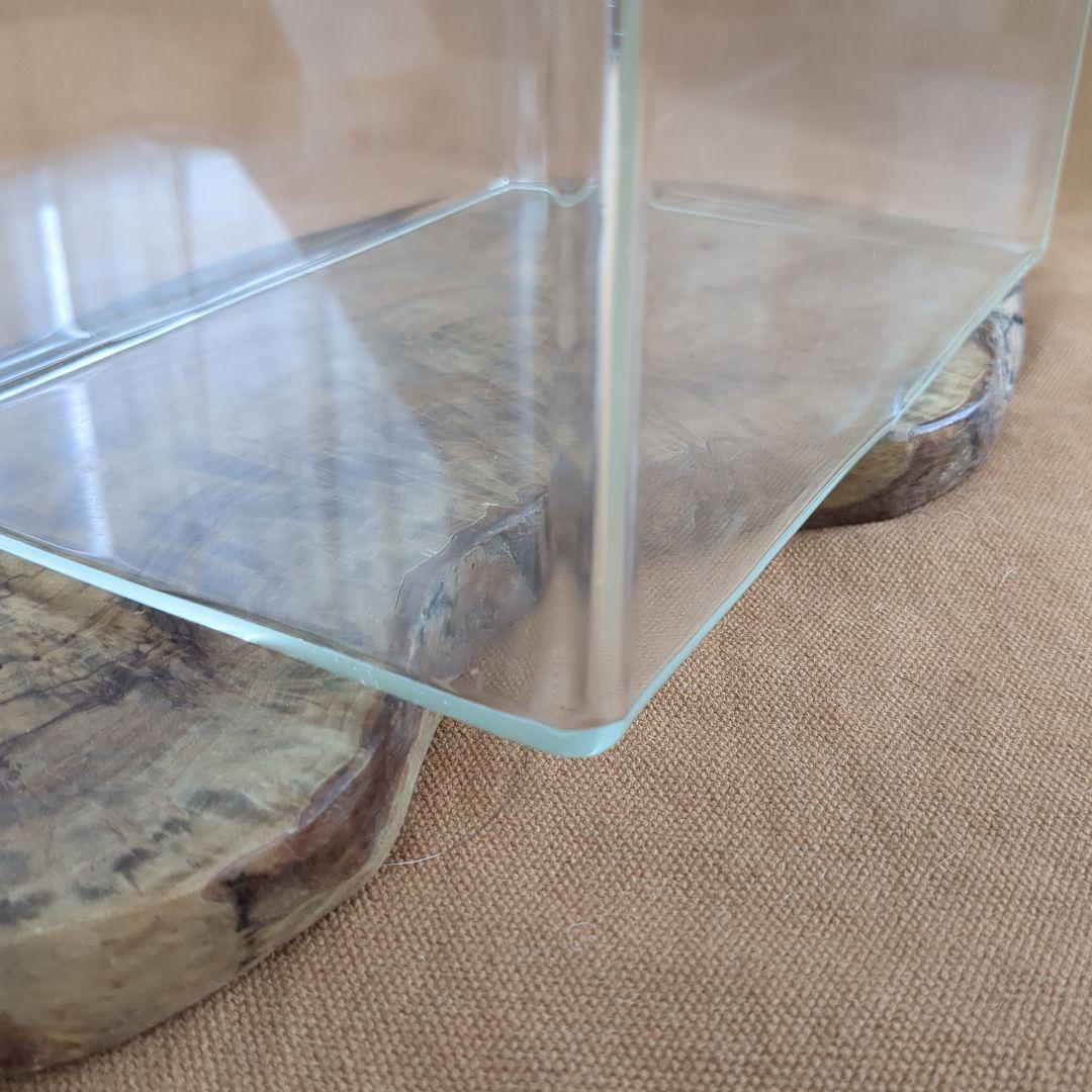 【高品質・透明度の高い　オーダーメイドのスペリア水槽　No.2 】