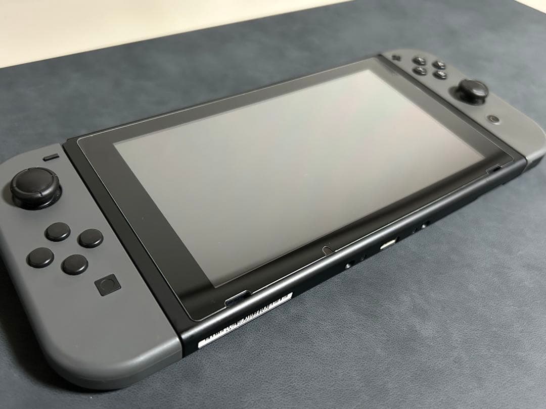 Switch Nintendo Switch グレー　保護ケース付き