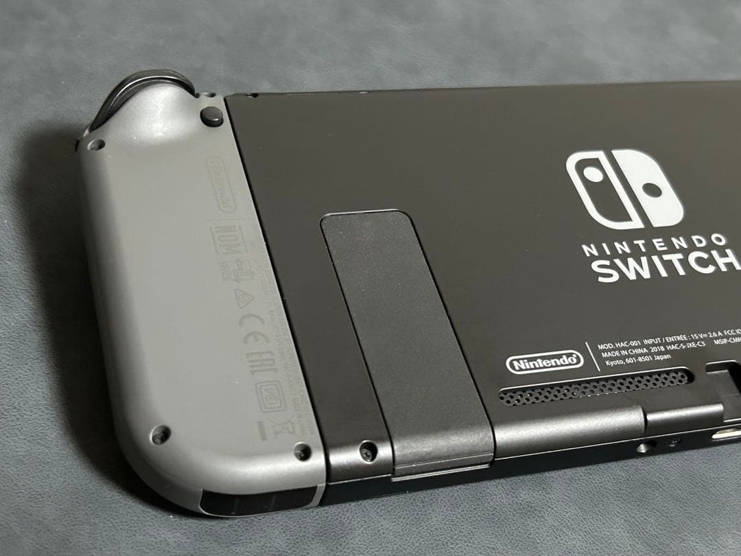 Switch Nintendo Switch グレー　保護ケース付き