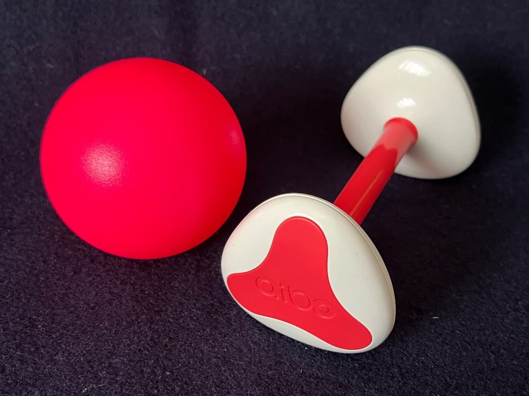 美品　期間限定　ソニーアイボAIBO　アイボリーホワイト　動作確認済【匿名配送】