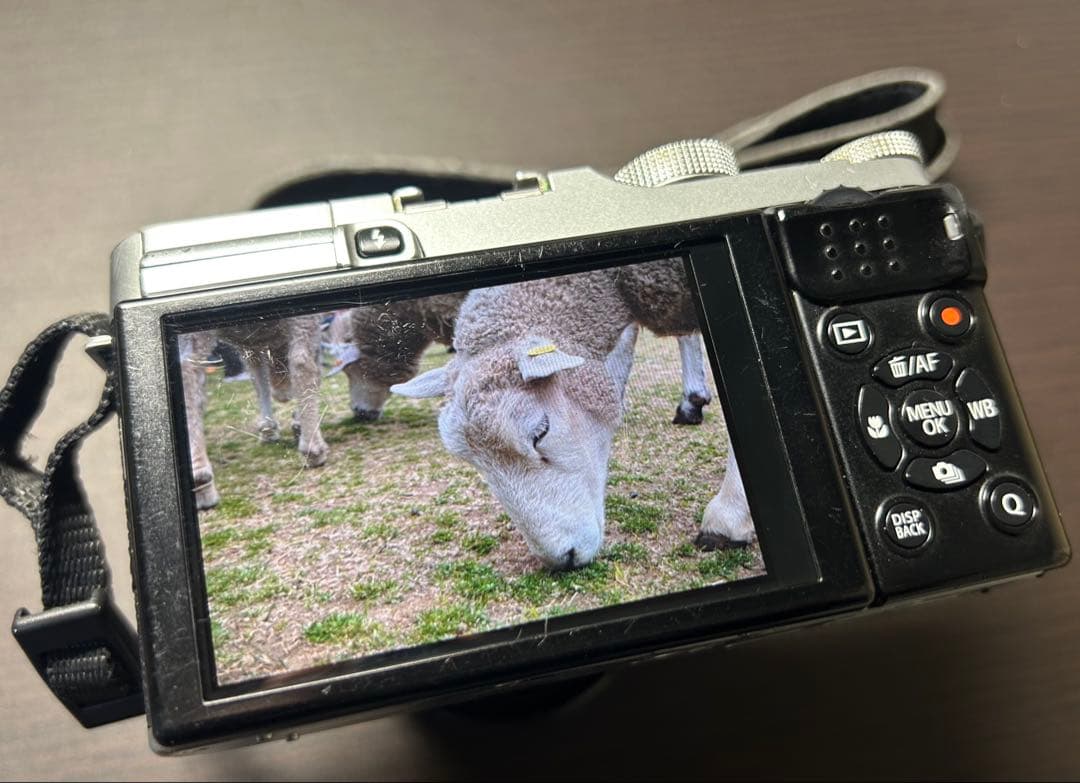 FUJIFILM ミラーレス一眼カメラ X-M1 16-50mm レンズキット