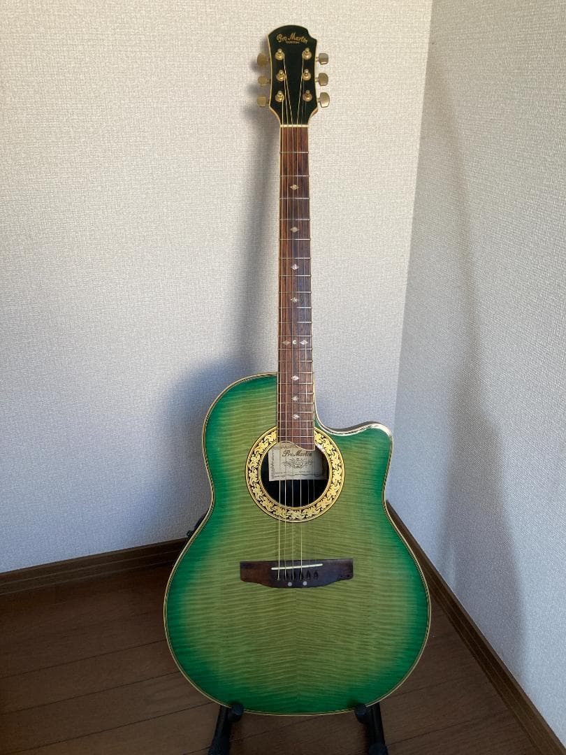 Pro Martin CUSTOM エレアコ EA 450　虎杢