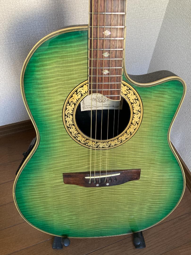 Pro Martin CUSTOM エレアコ EA 450　虎杢