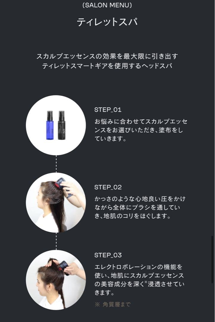 【新品・未使用】DEMI DO TILLT SMART-GEAR 美顔器