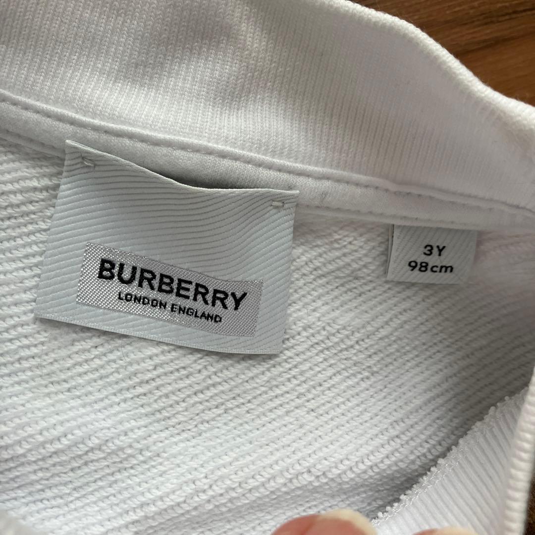 バーバリー　フルーツ　スウェット　トレーナー