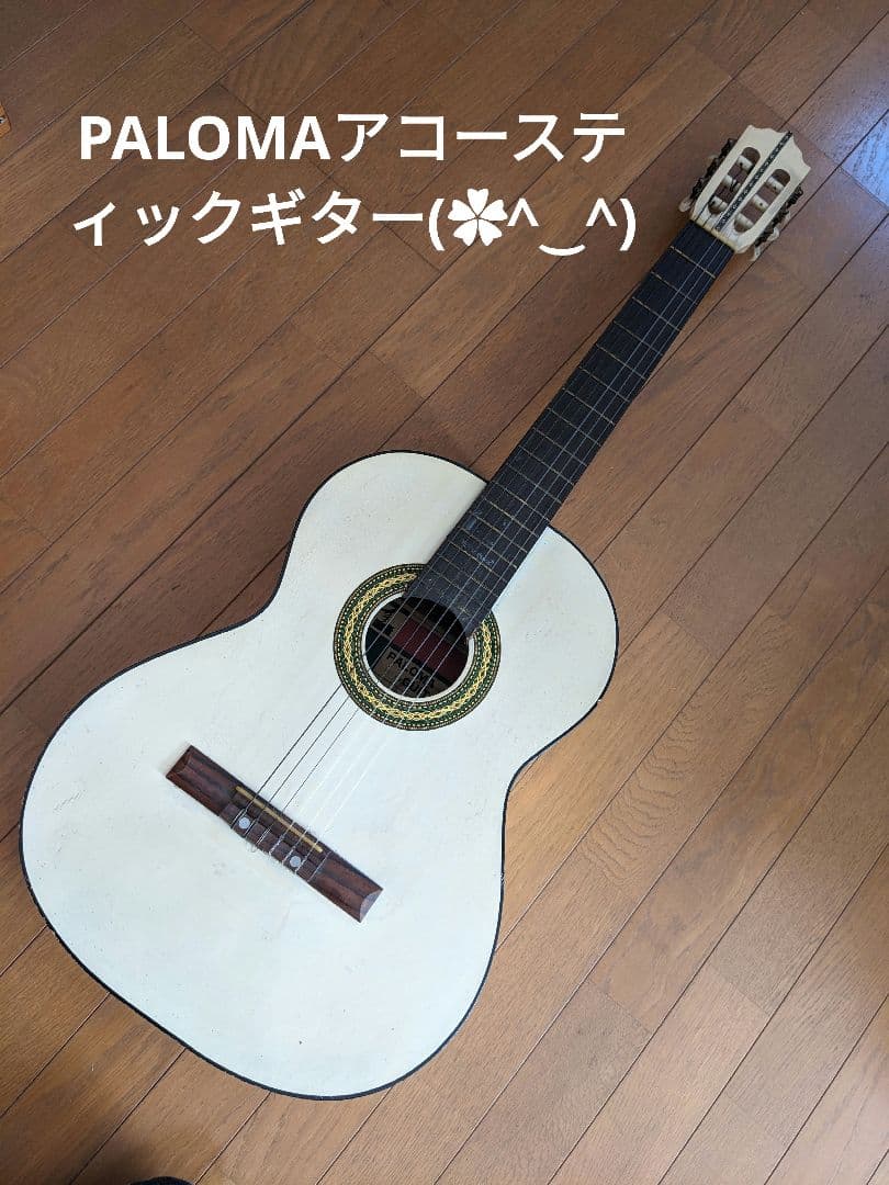 PALOMAアコースティックギター白(⁠ ⁠ꈍ⁠ᴗ⁠ꈍ⁠)