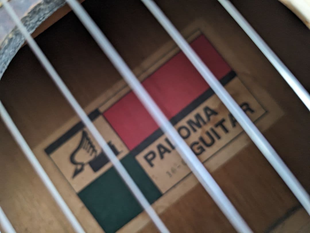 PALOMAアコースティックギター白(⁠ ⁠ꈍ⁠ᴗ⁠ꈍ⁠)