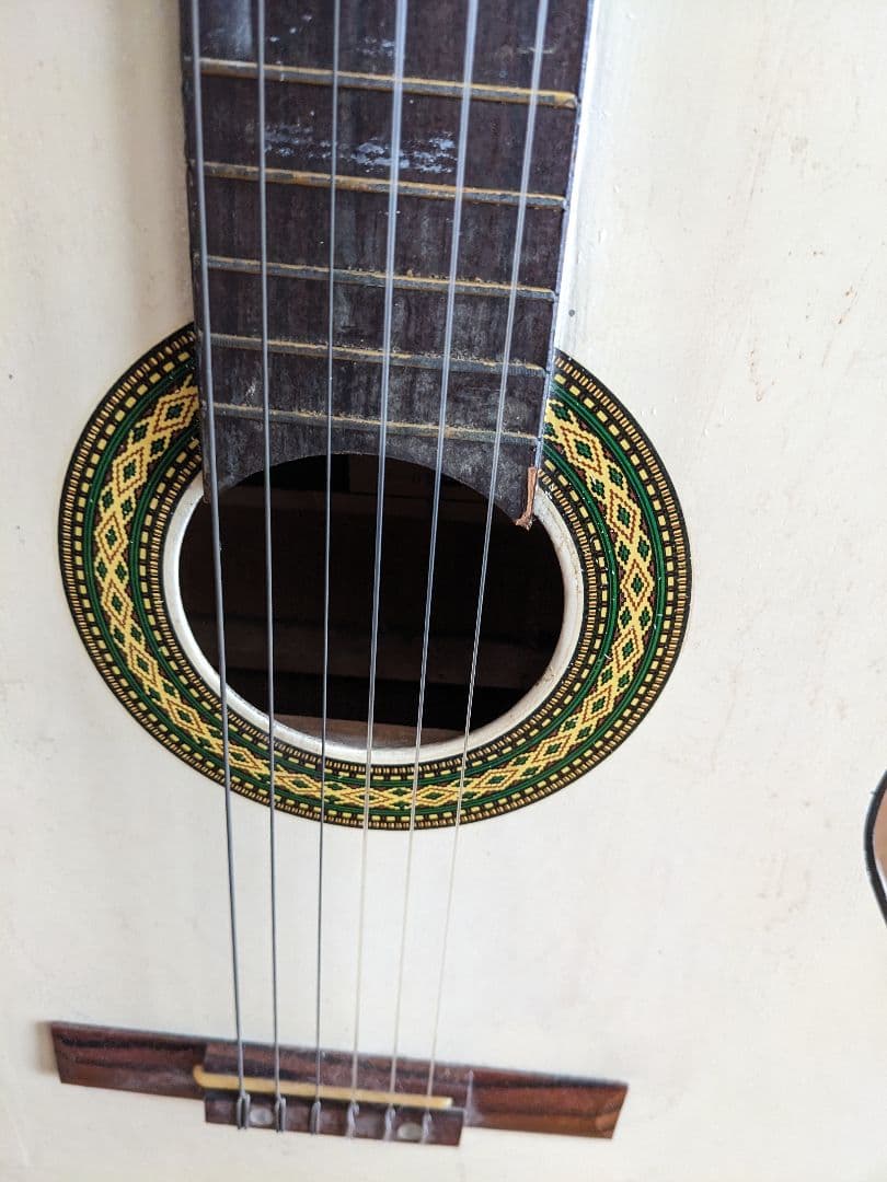 PALOMAアコースティックギター白(⁠ ⁠ꈍ⁠ᴗ⁠ꈍ⁠)