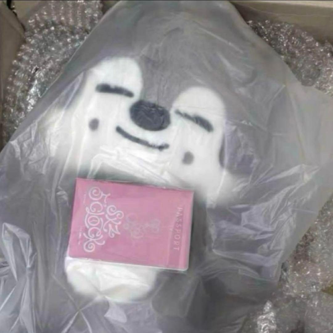 straykids スキズ テディベア SKZOO ウルフチャン　teddy