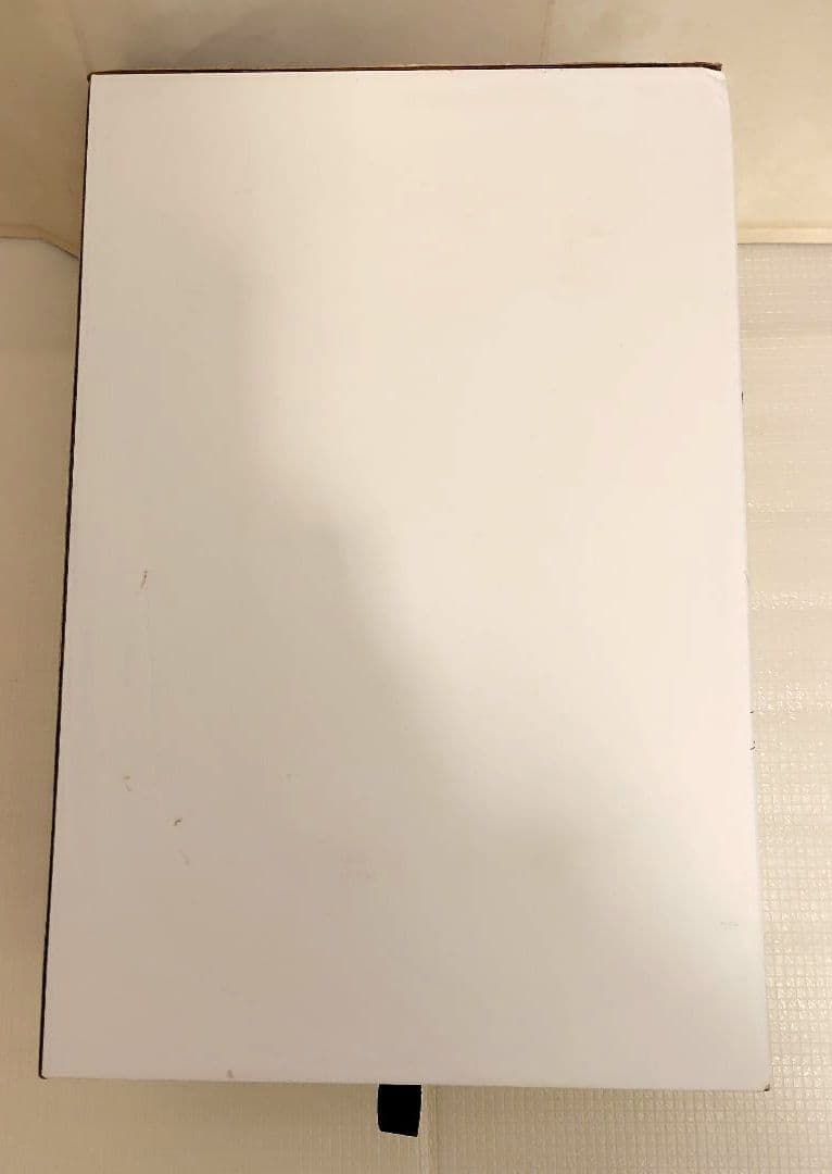 【廃盤・限定色】BRUNO ホットプレート パンプキンオレンジ　ニワトリ　希少