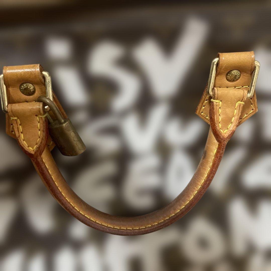 ルイ・ヴィトン スピーディ バッグ ブラウン/ホワイト