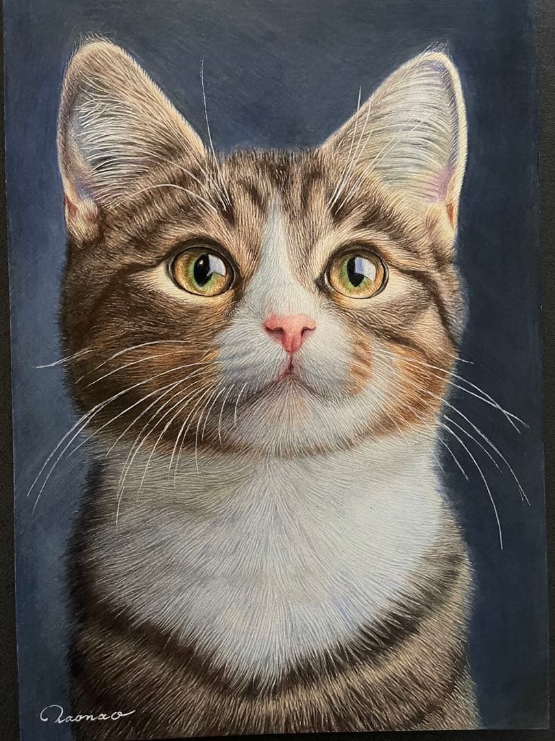 色鉛筆画A4キジシロ38