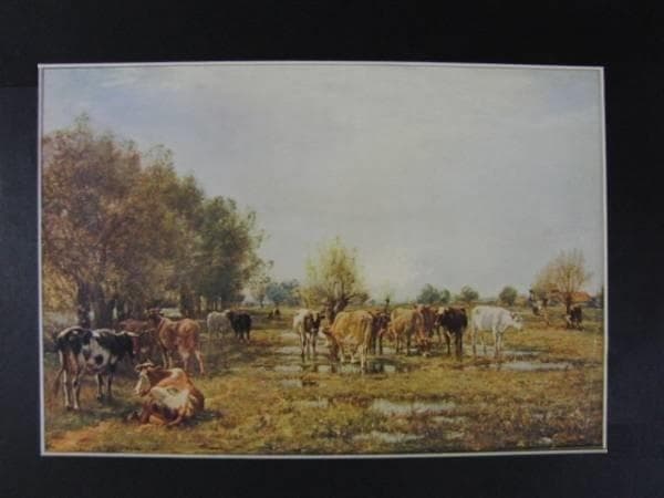 Fen Meadows/Mark Fisher、牧場/マーク・フィッシャー