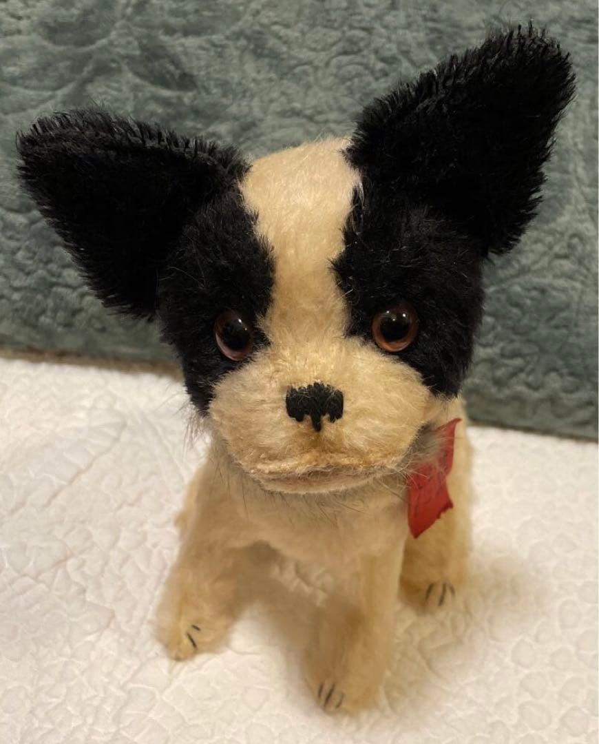 KEITA BEAR さんの犬のぬいぐるみ　ケイタベア