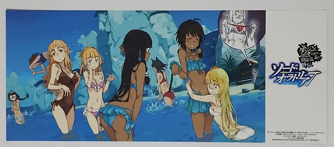 ダンまち 外伝 ソード・オラトリア 11巻セット 特典 特装版 未開封 有り