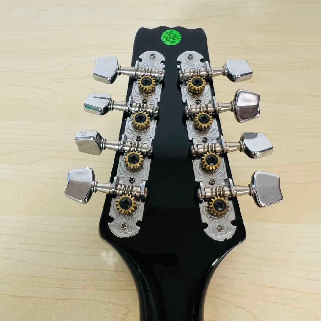 ARIA AM-20 マンドリン 8弦 ハードケース付