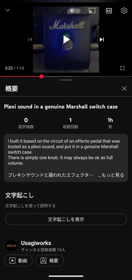 ギター Plexi sound in genuine Marshall case V2