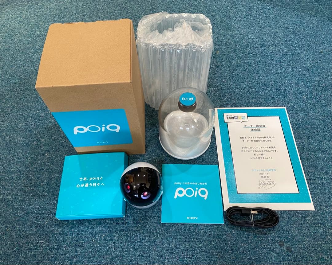 SONY ポイック(poiq) サービス終了品