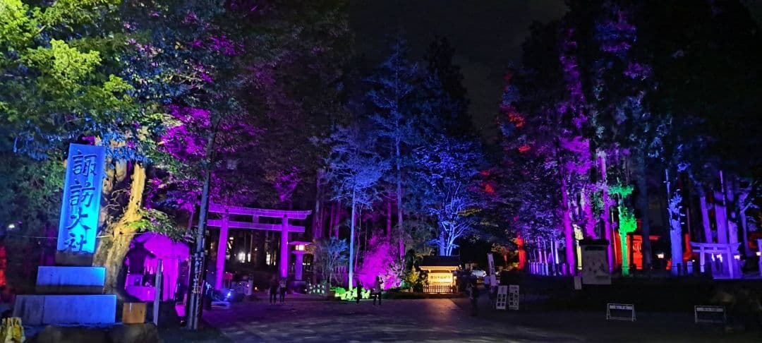 諏訪大社　秋宮限定　短期間数量限定8月8日　夏詣御朱印セミコンプリート9種セット