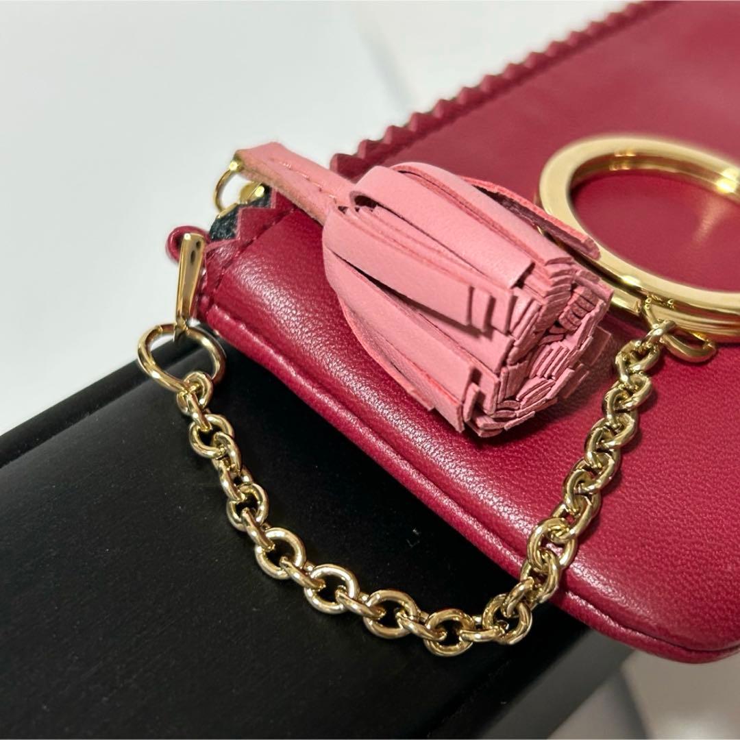 極美品 LOEWE ロエベ アナグラム ナッパレザー タッセル ケース