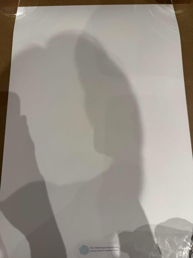 大山エンリコイサム FFIGURATI#50 版画250部限定