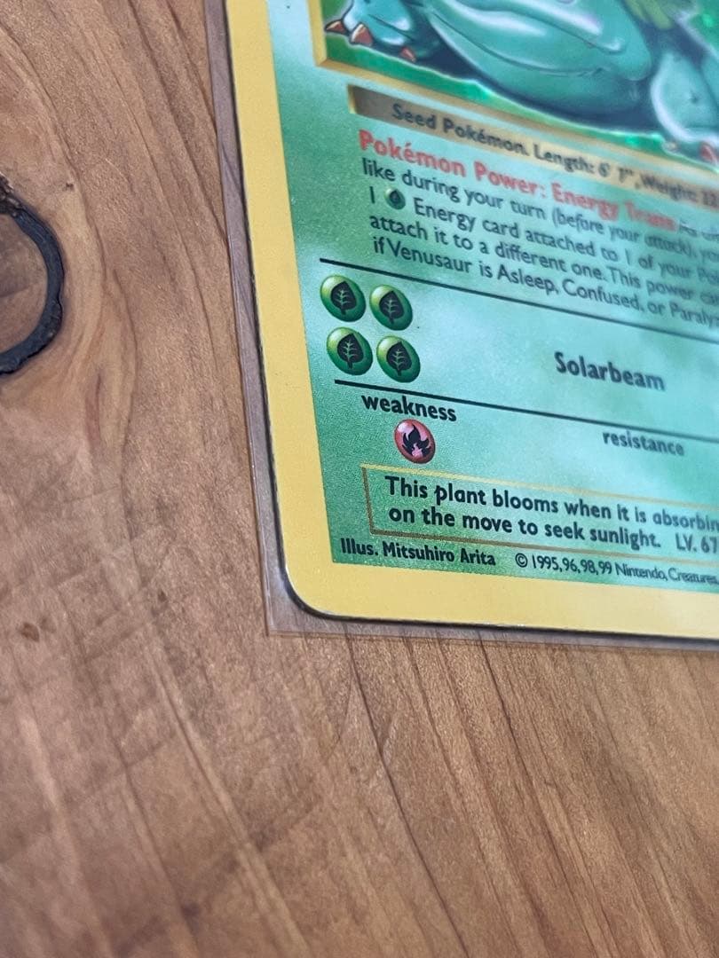 フシギバナ 英語版 旧裏 Venusaur shadow less