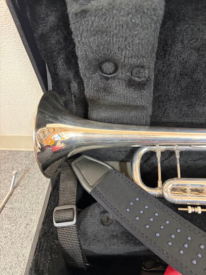 ぽぽちゃん バックトランペット